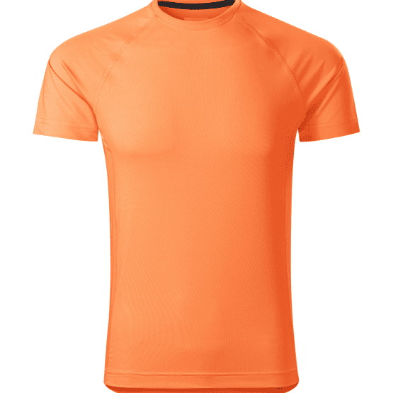 Destiny 175 - Koszulka męska