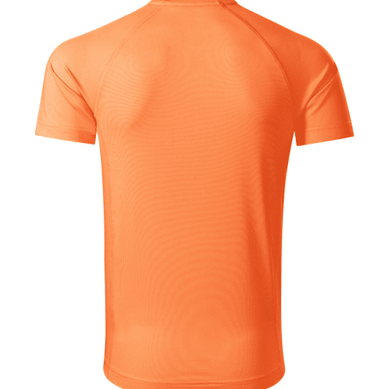 Destiny 175 - Koszulka męska