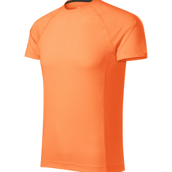 Destiny 175 - Koszulka męska